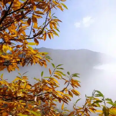 Autunno sui Monti della Laga.