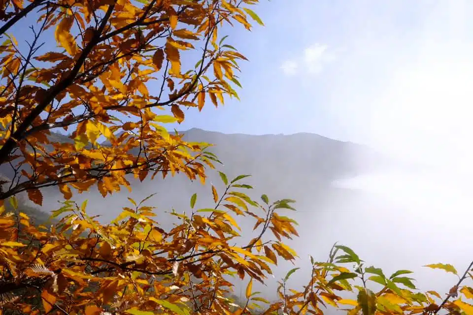 Al momento stai visualizzando Autunno sui Monti della Laga.