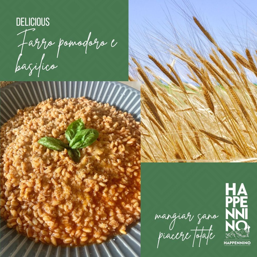 Farro pomodoro e basilico