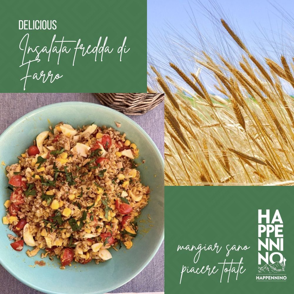 Insalata di Farro seppioline gambereti e verdure
