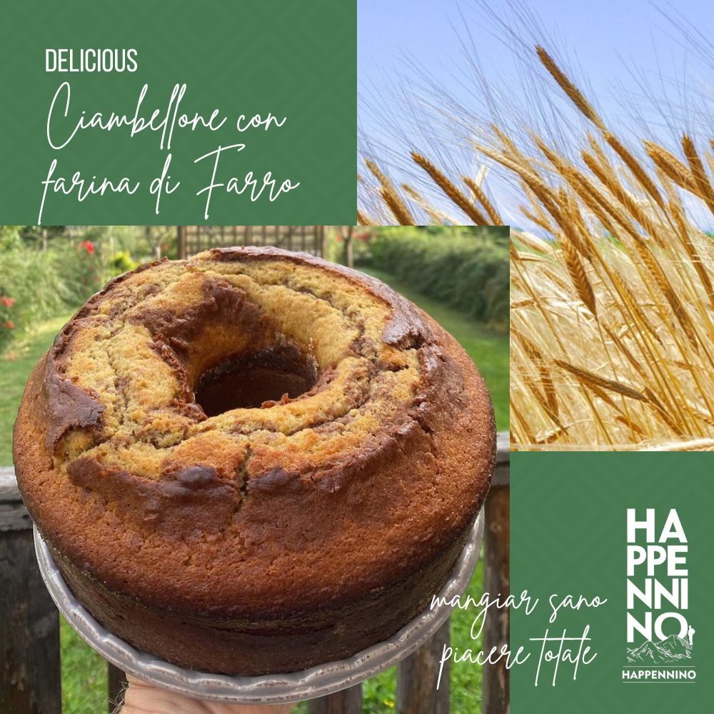 ciambellone al farro
