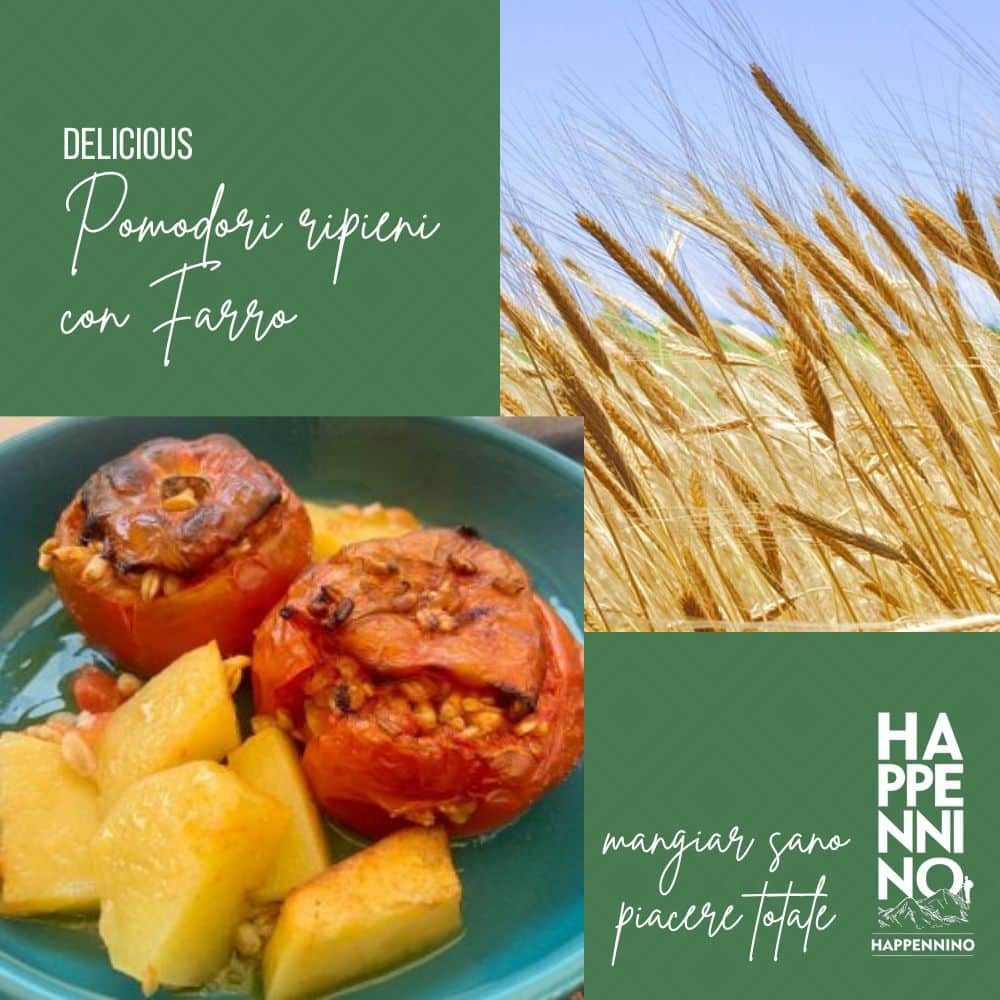 pomodori ripieni di farro