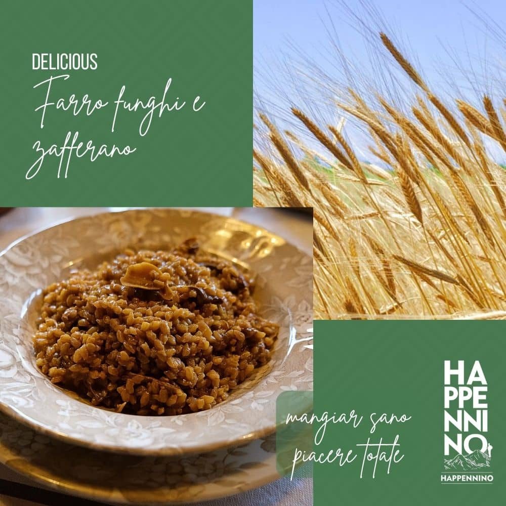farro funghi e zafferano ubimaior
